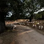 Testone Κατάλυμα σε φάρμα Benetutti
