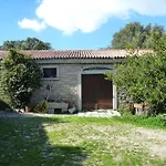 Testone * Benetutti