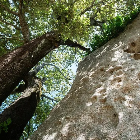 Farm stay Testone Benetutti