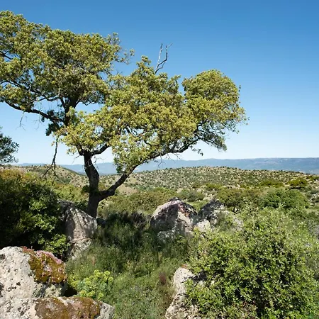 Farm stay Testone Benetutti