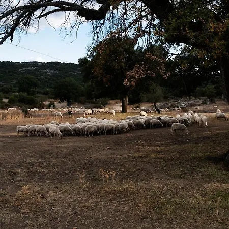 Agriturismo Testone Benetutti