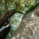 Фермерский дом Agriturismo Testone Benetutti