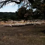 Agriturismo Testone Benetutti