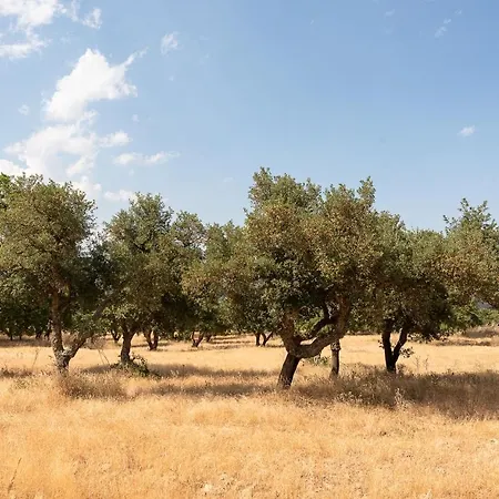 Testone Farmház