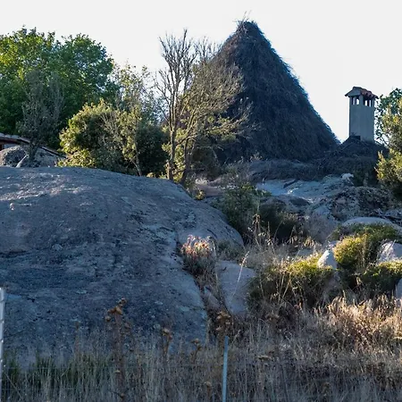 Farmház Testone