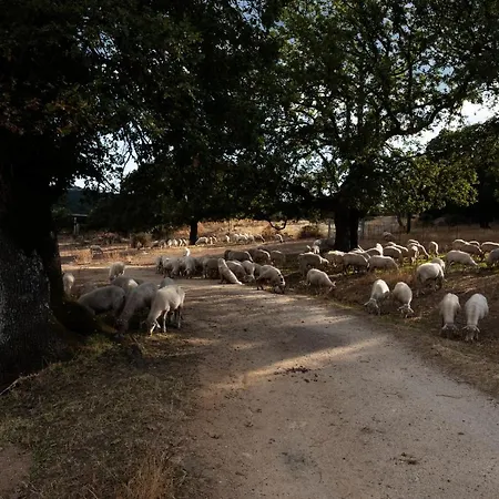 Testone Farmház Benetutti