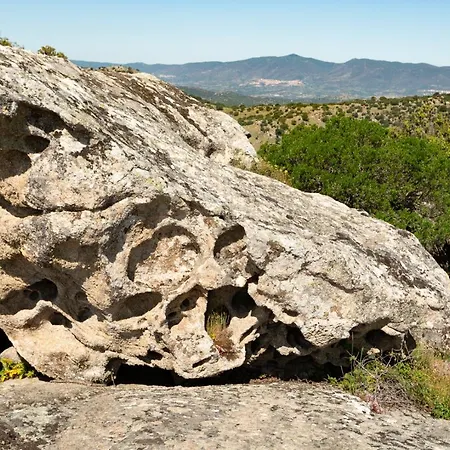 Testone *