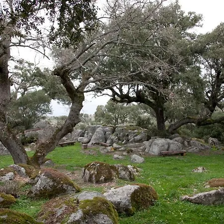 مزرعة للإقامة Testone