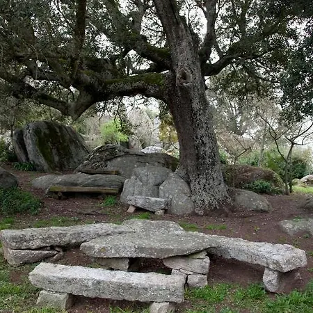Testone مزرعة للإقامة