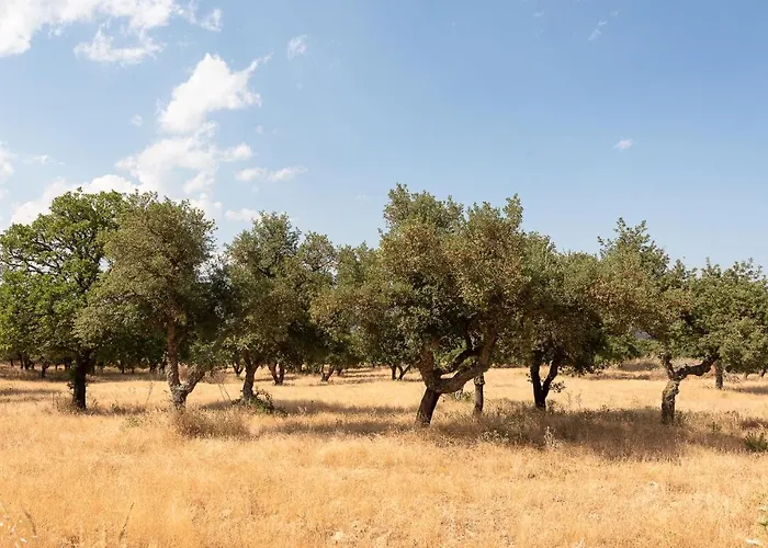 Testone Gospodarstwo agroturystyczne