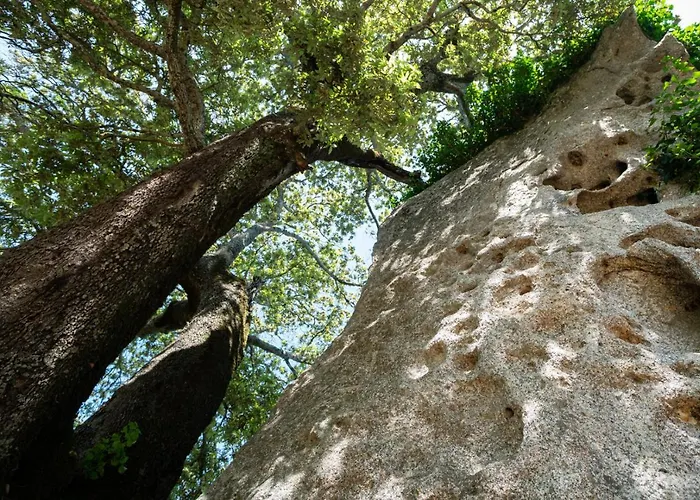 Gospodarstwo agroturystyczne Testone Benetutti