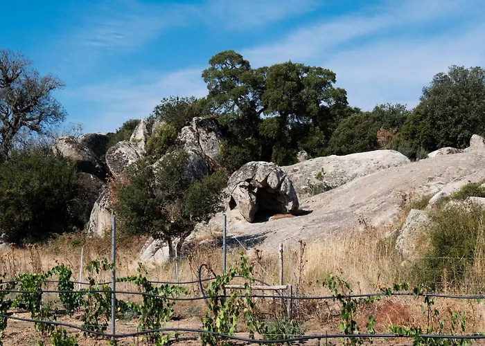 Gospodarstwo agroturystyczne Testone