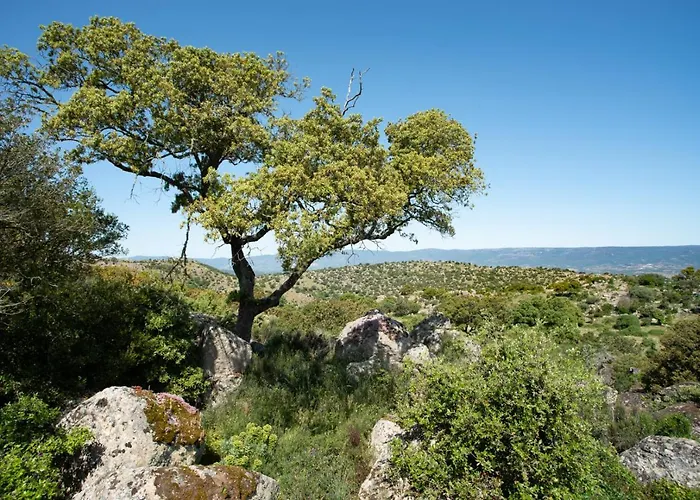 Gospodarstwo agroturystyczne Testone Benetutti