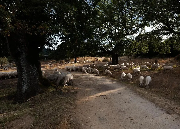 Testone Gospodarstwo agroturystyczne Benetutti