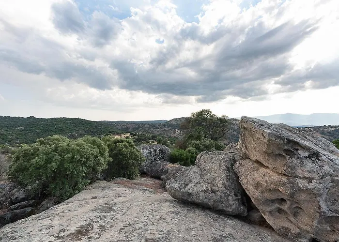 Testone Gospodarstwo agroturystyczne *
