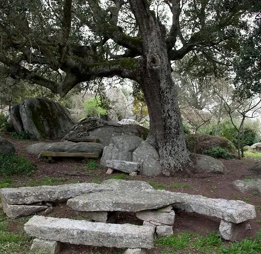 Testone Gospodarstwo agroturystyczne